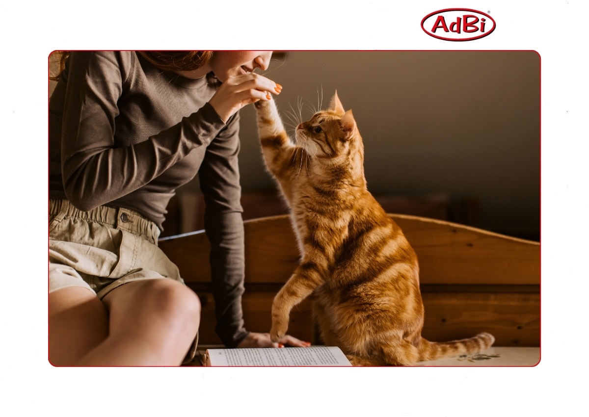 Dlaczego warto nas wybrać?